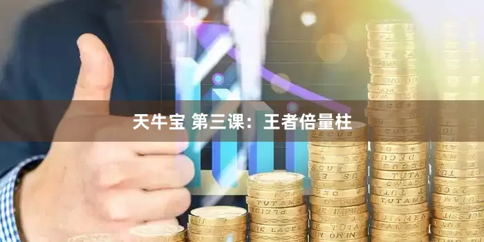 天牛宝 第三课：王者倍量柱