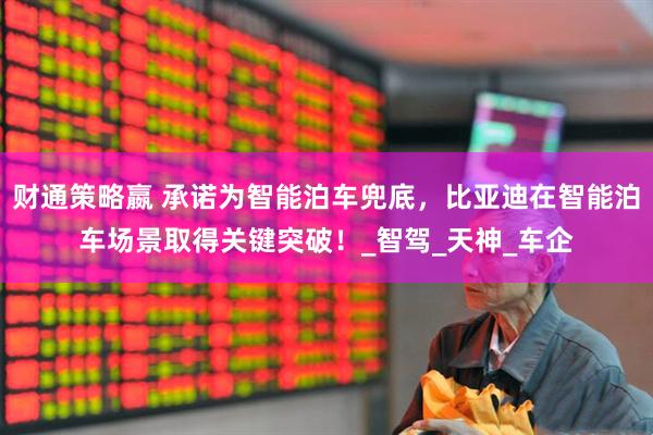 财通策略嬴 承诺为智能泊车兜底，比亚迪在智能泊车场景取得关键突破！_智驾_天神_车企