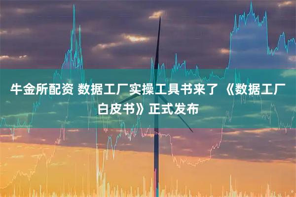 牛金所配资 数据工厂实操工具书来了 《数据工厂白皮书》正式发布